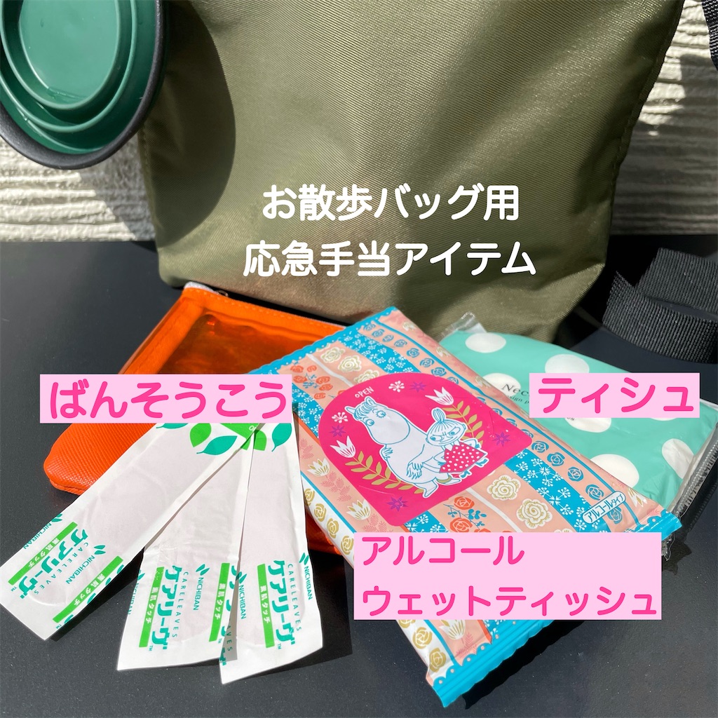 f:id:hachinohige:20210508100101j:image