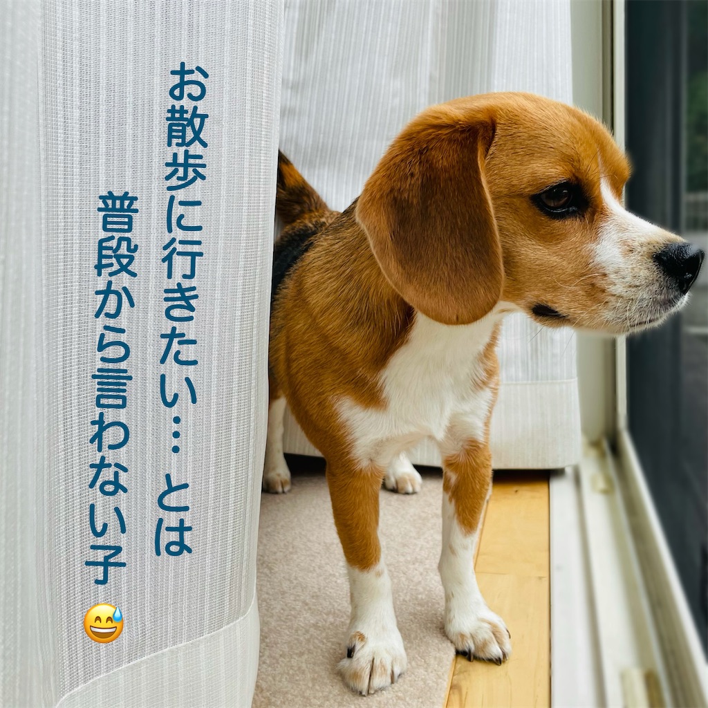 f:id:hachinohige:20210903114839j:image