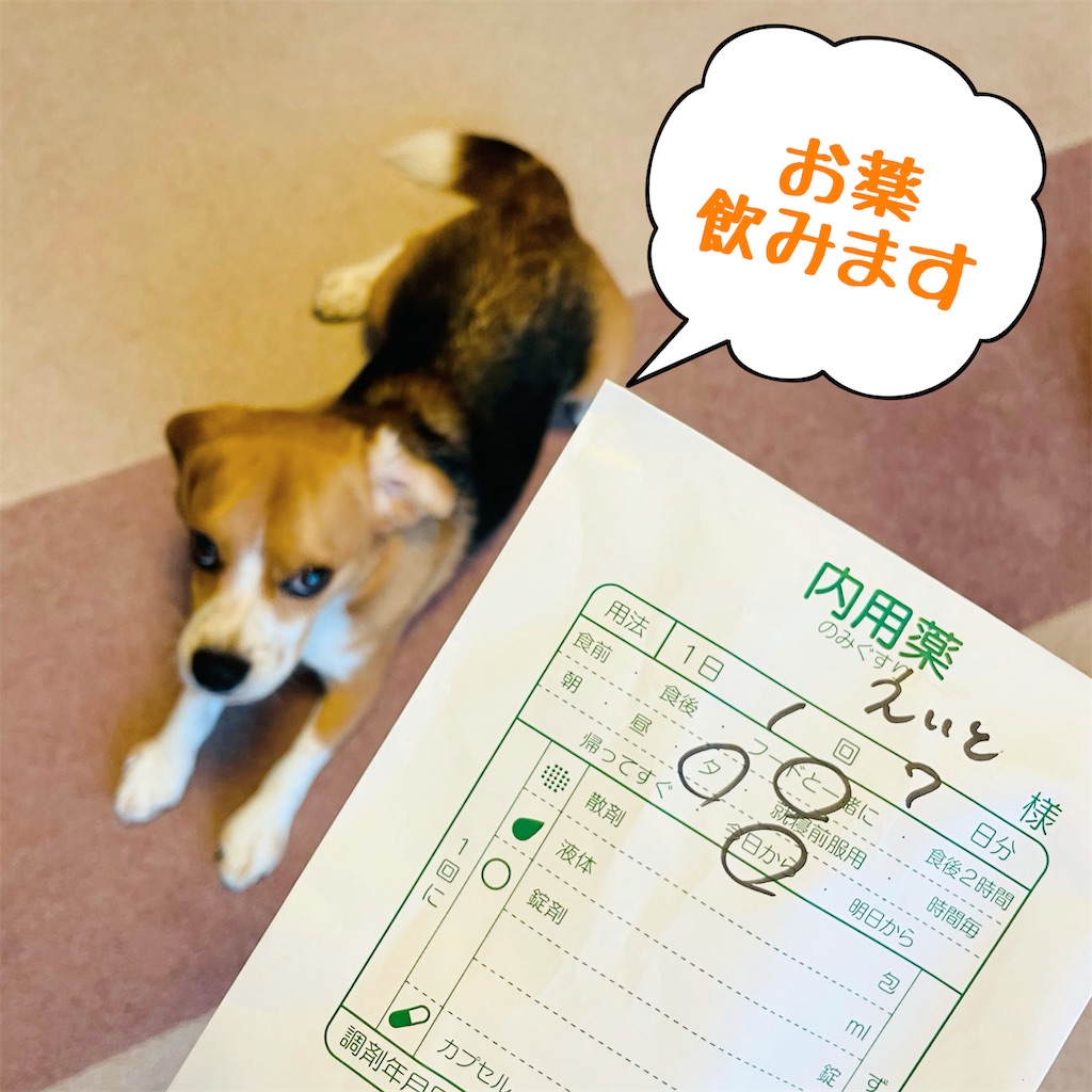 f:id:hachinohige:20210903114846j:image