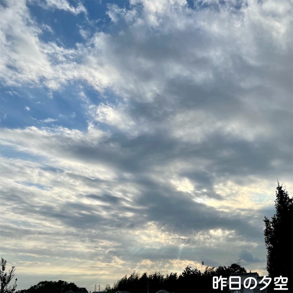 f:id:hachinohige:20210916181529j:image