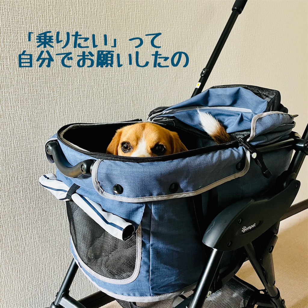 f:id:hachinohige:20210918171834j:image