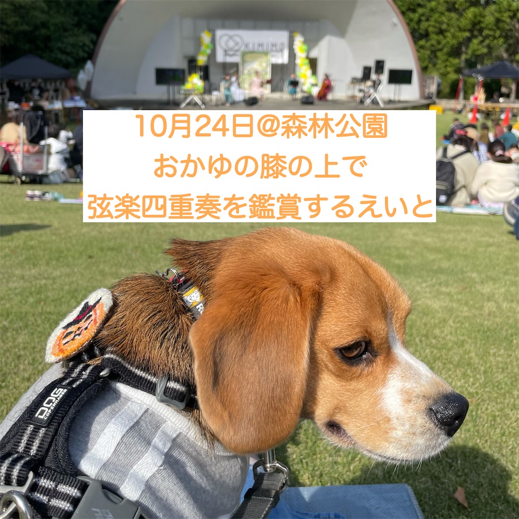 f:id:hachinohige:20211105195728j:image