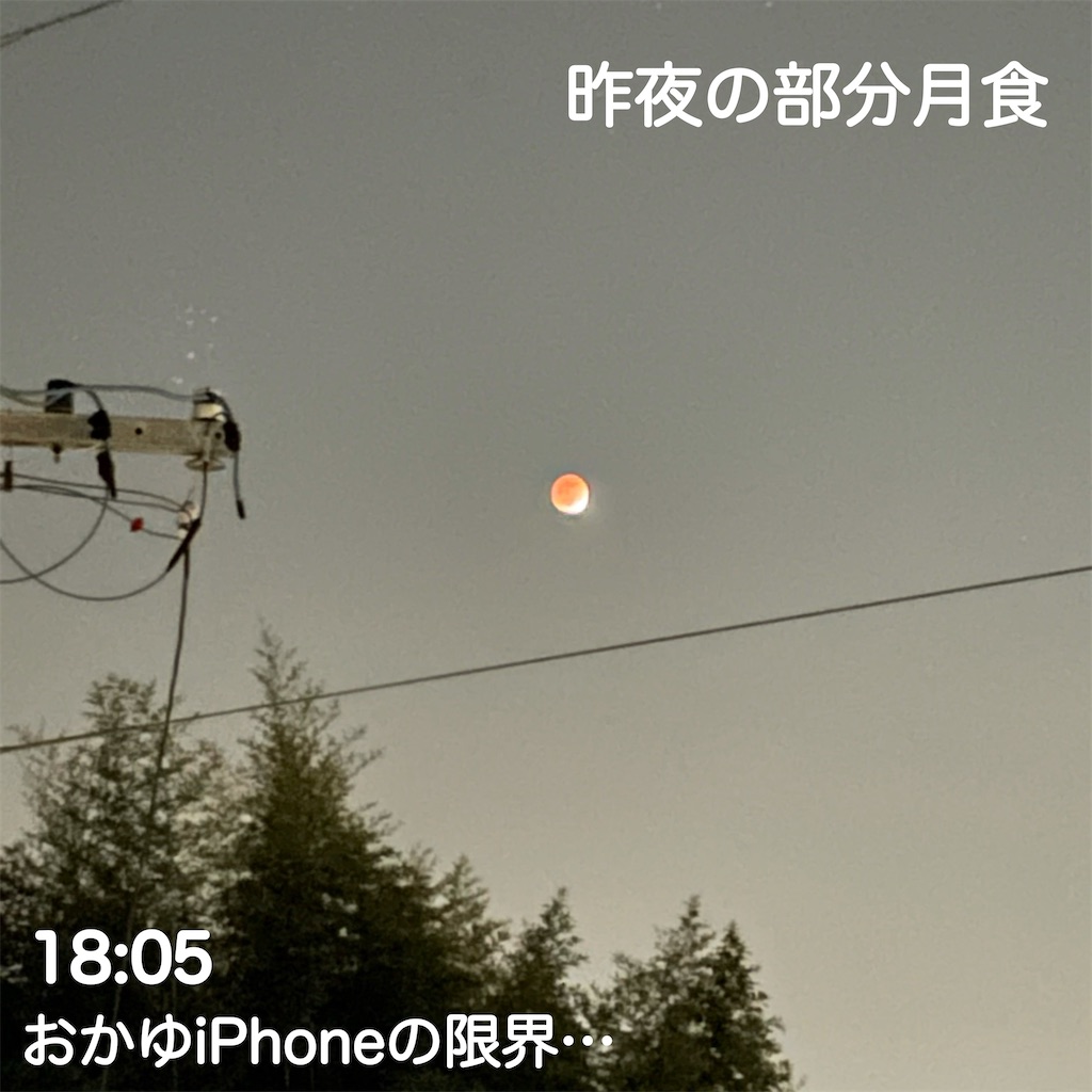 f:id:hachinohige:20211119224521j:image