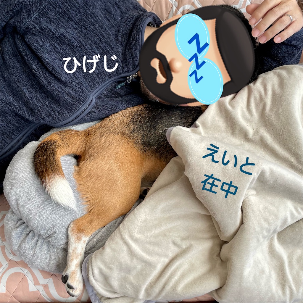 f:id:hachinohige:20220122181155j:image f:id:hachinohige:20220122181155j:image