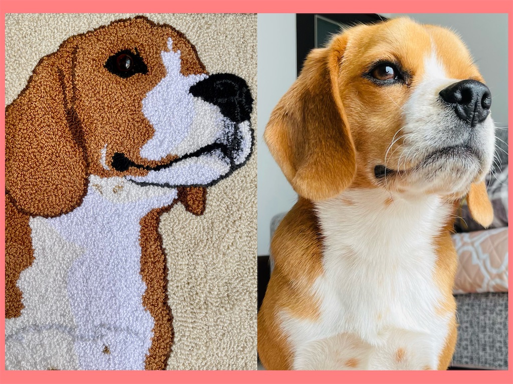 完成 - ビーグル犬エイトのお散歩日記