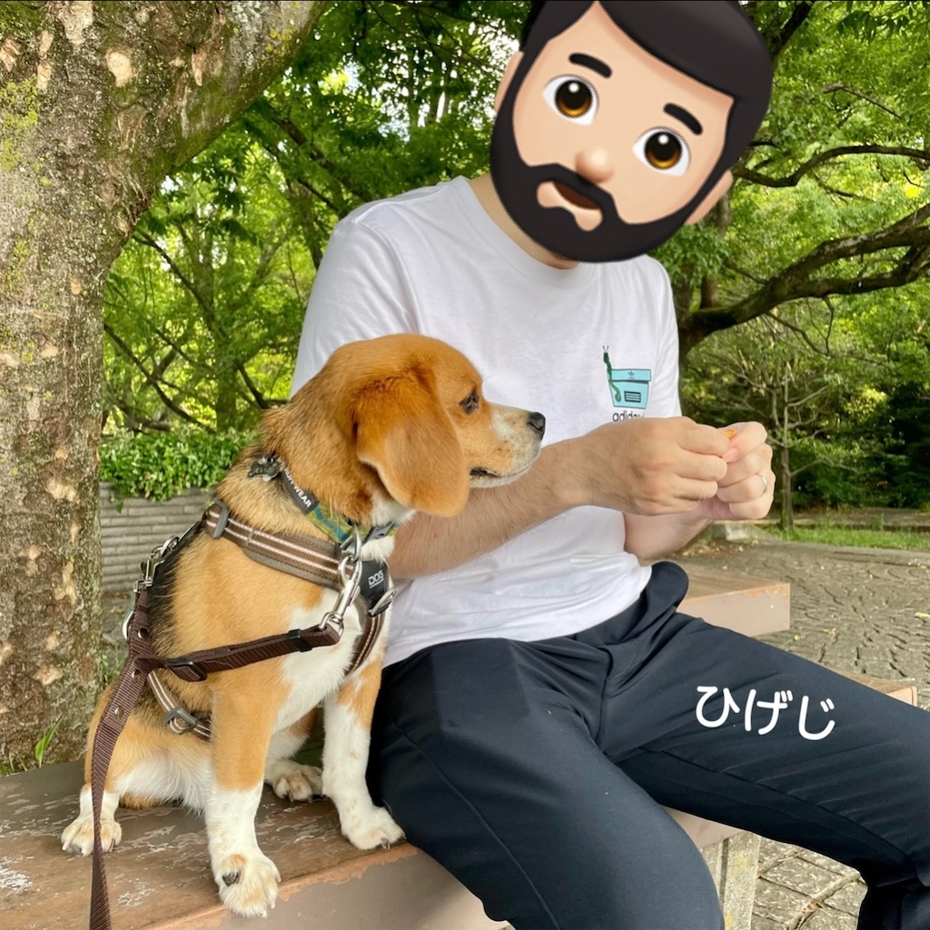 f:id:hachinohige:20220605105133j:image