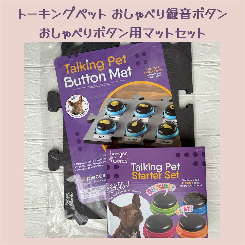 f:id:hachinohige:20240421162936j:image