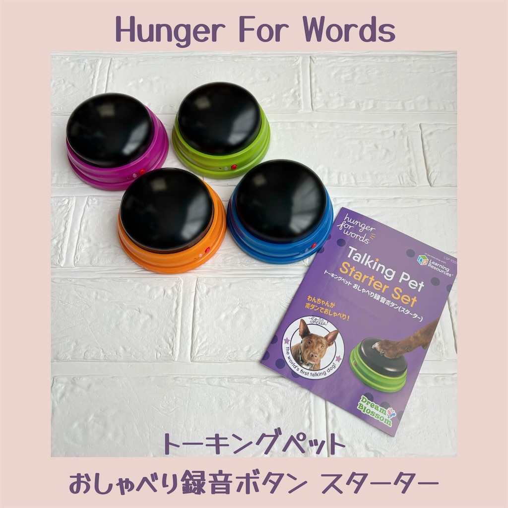 f:id:hachinohige:20240421164533j:image