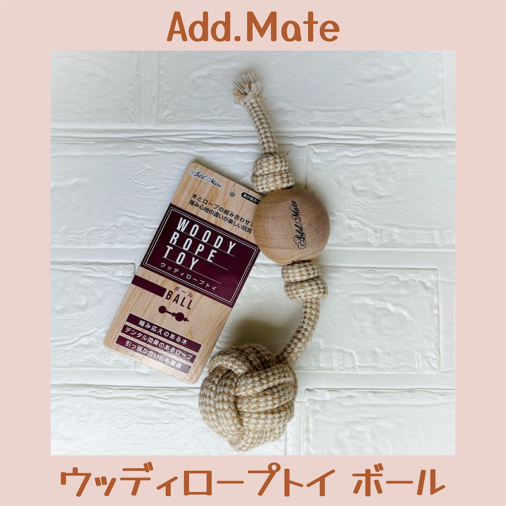 f:id:hachinohige:20240831181308j:image