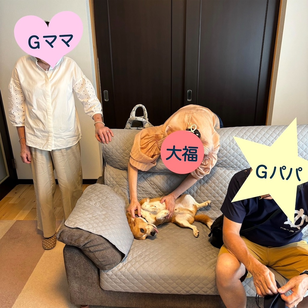 f:id:hachinohige:20240901212140j:image