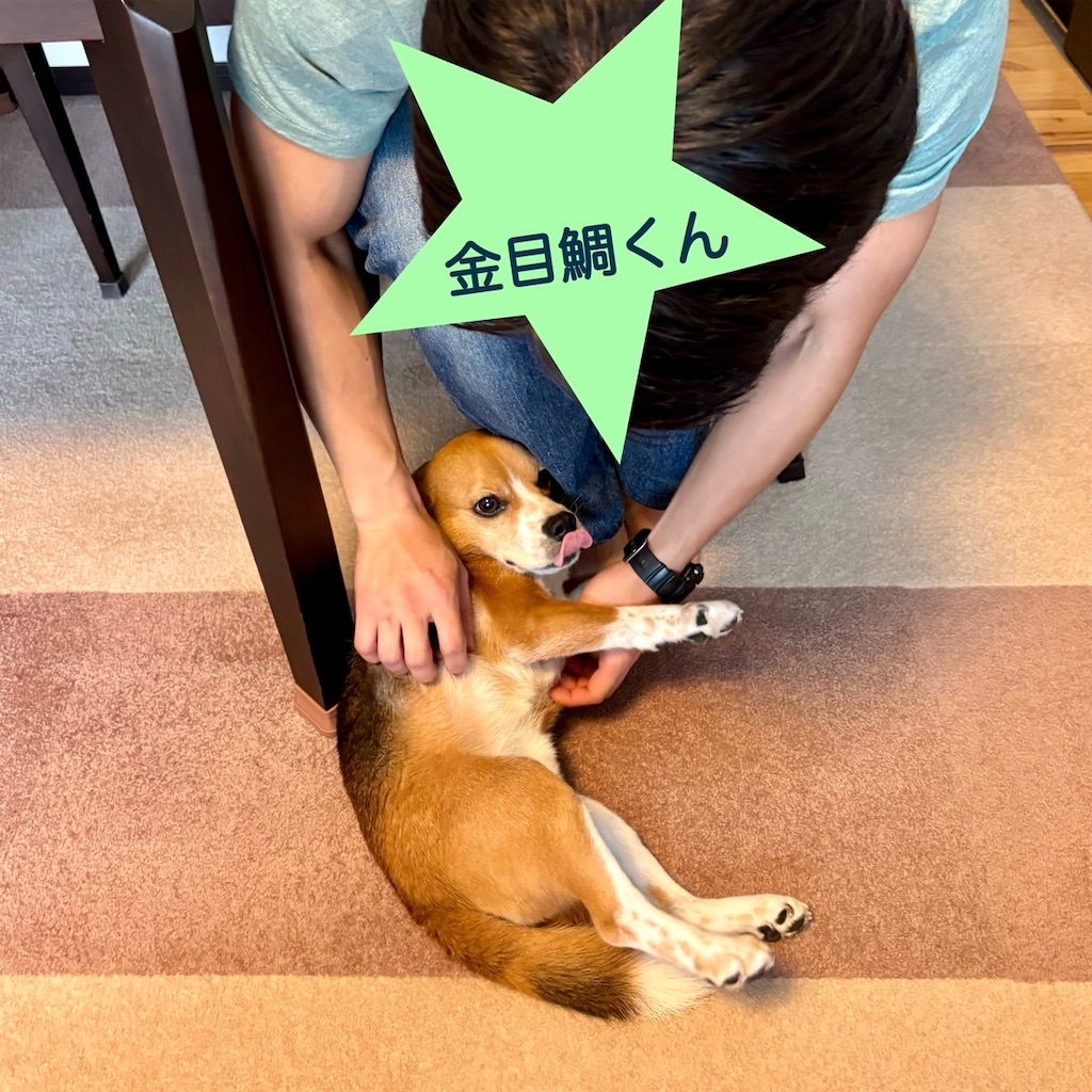 f:id:hachinohige:20240901212150j:image