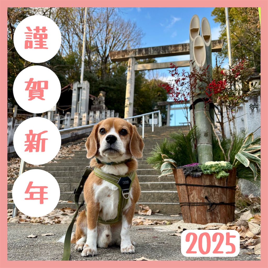 f:id:hachinohige:20241231221840j:image