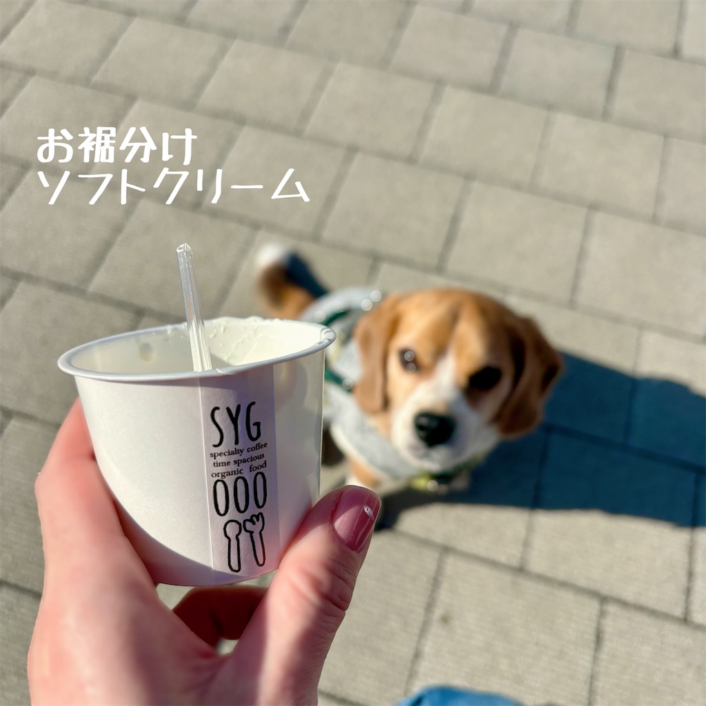 f:id:hachinohige:20250103204458j:image