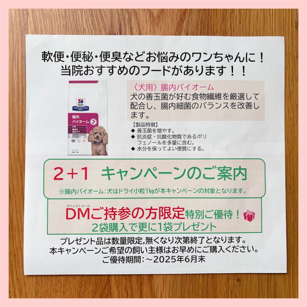 f:id:hachinohige:20250307110706j:image