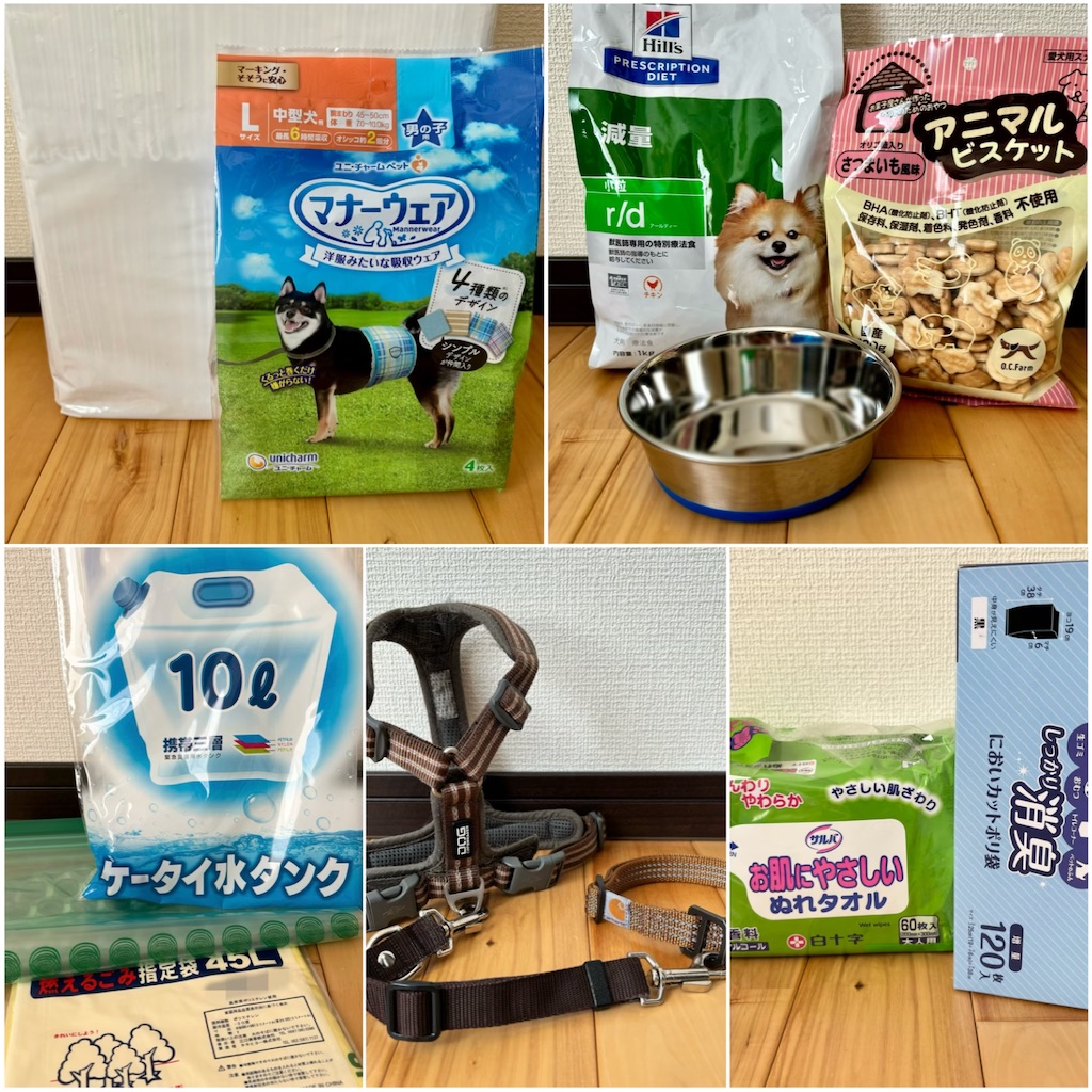 f:id:hachinohige:20250309090023j:image