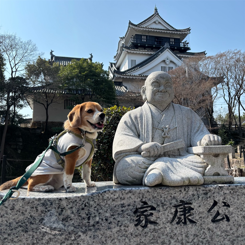 f:id:hachinohige:20250324151720j:image