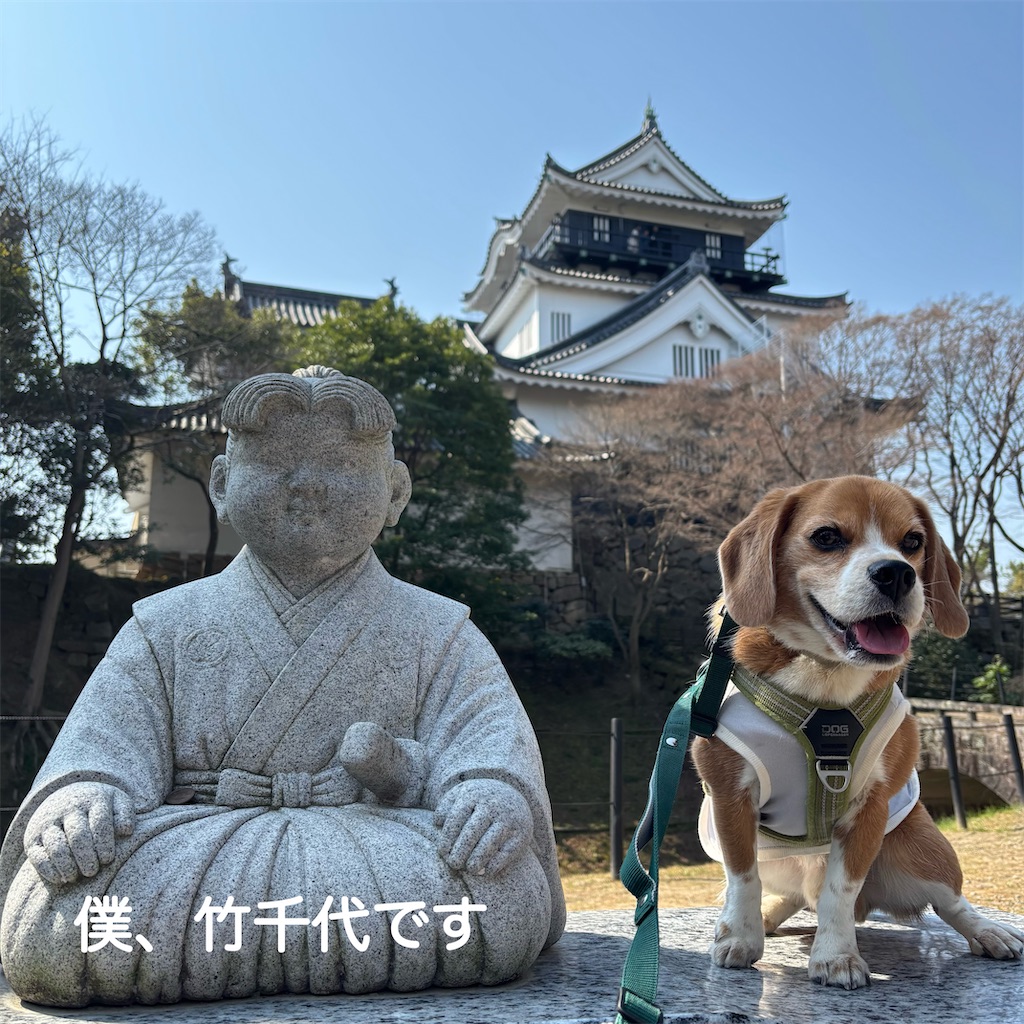 f:id:hachinohige:20250324203532j:image