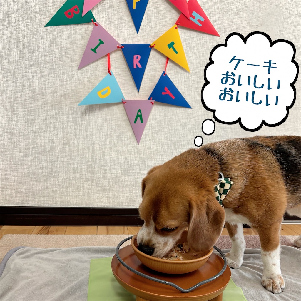 f:id:hachinohige:20250409213715j:image
