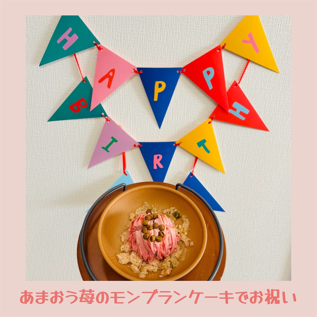f:id:hachinohige:20250409214305j:image