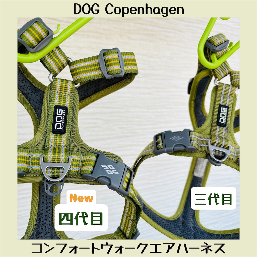 f:id:hachinohige:20250411154046j:image