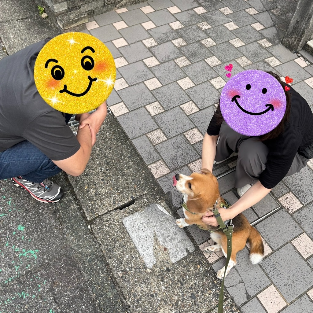 f:id:hachinohige:20250426210737j:image