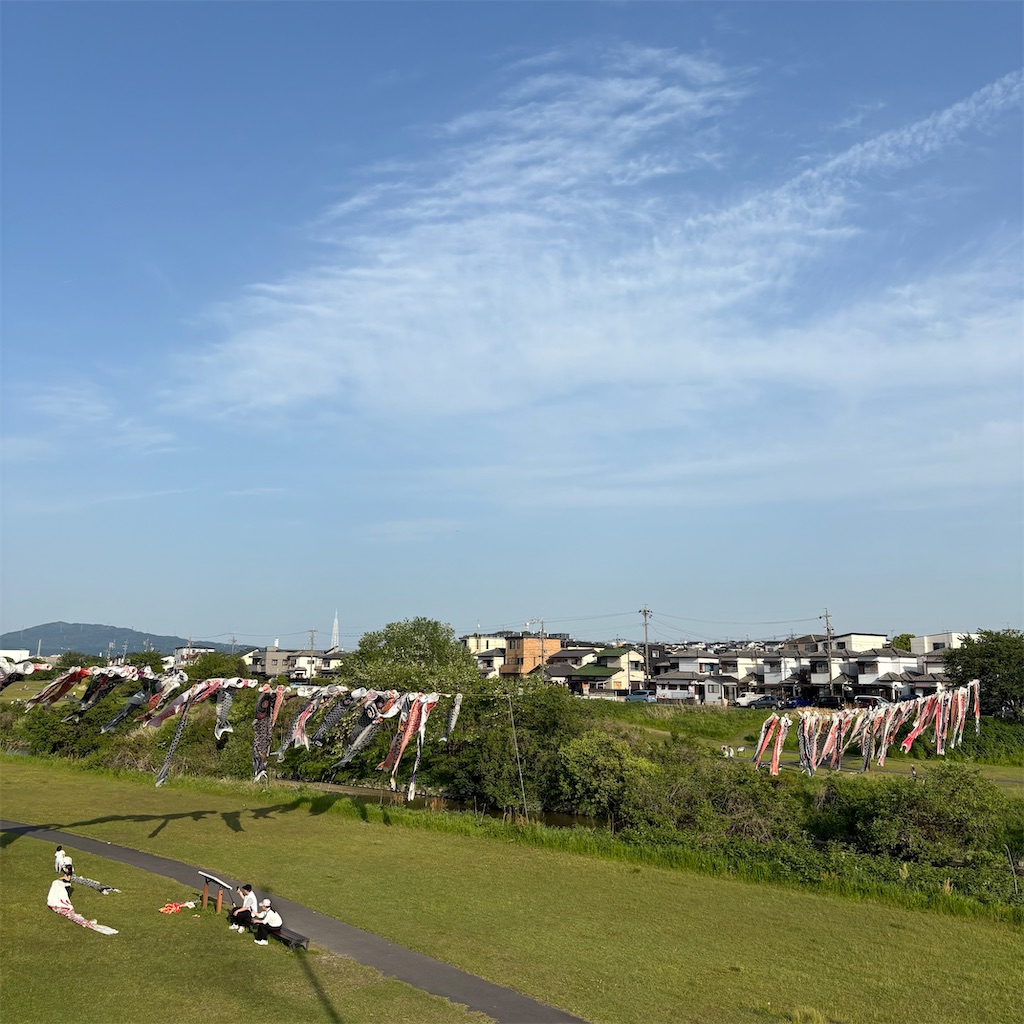 f:id:hachinohige:20250504175757j:image