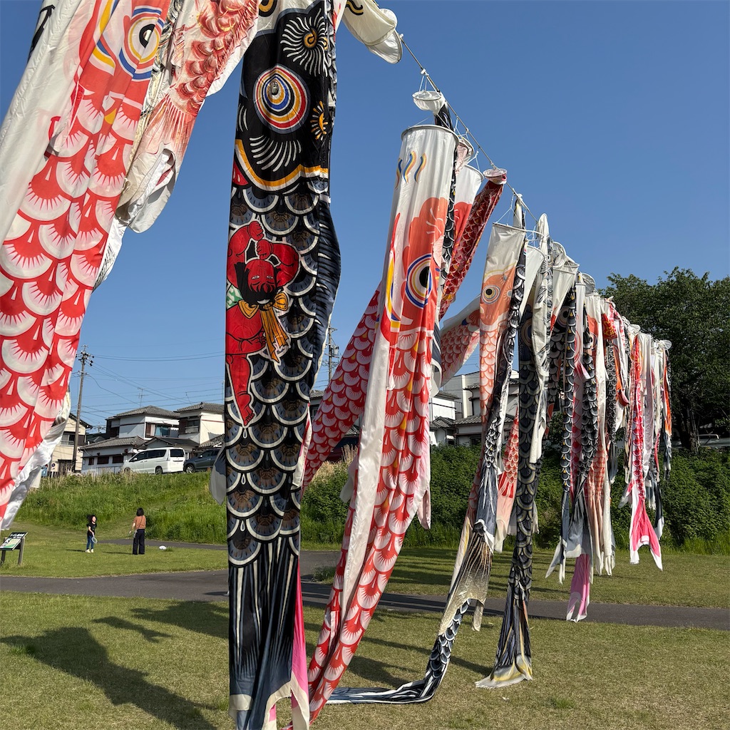 f:id:hachinohige:20250504180056j:image