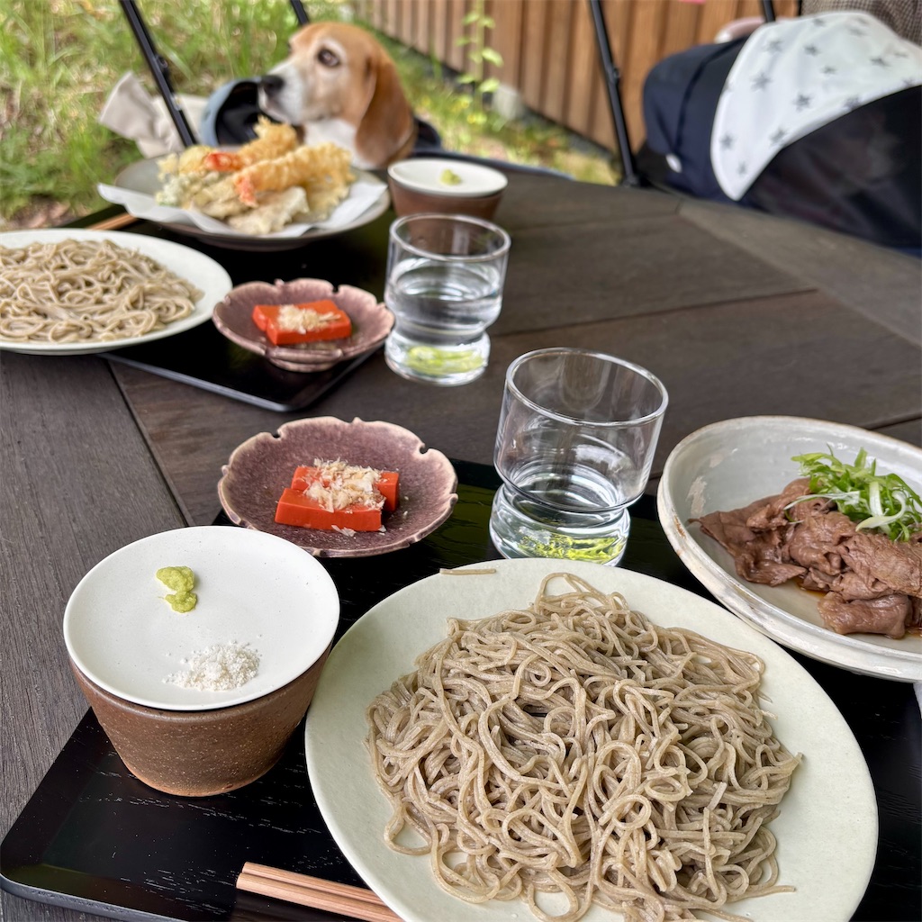 f:id:hachinohige:20250519205738j:image