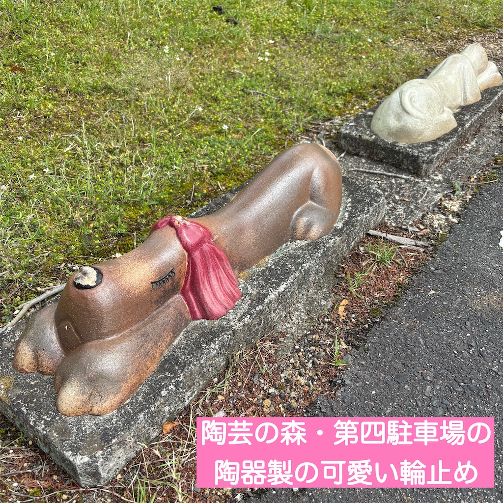 f:id:hachinohige:20250519210004j:image