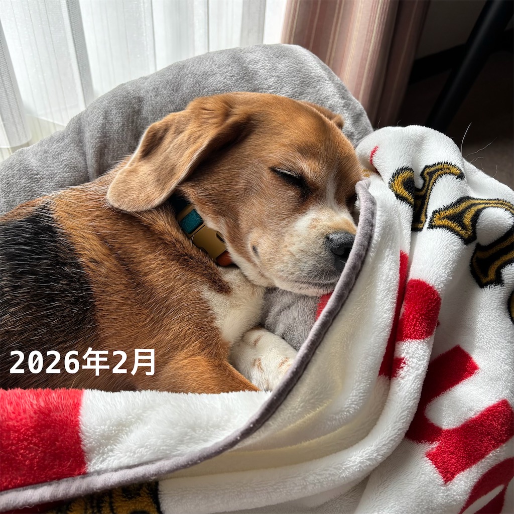f:id:hachinohige:20260813001230j:image