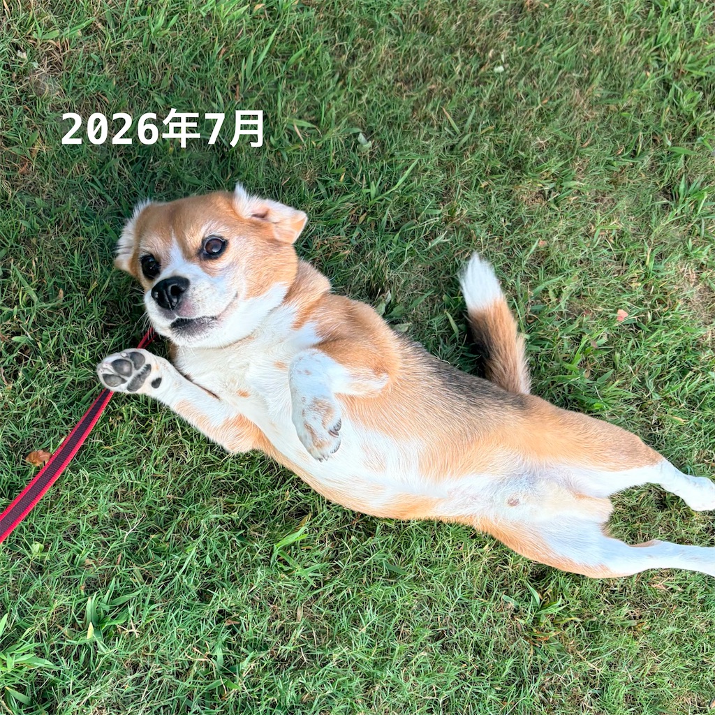 f:id:hachinohige:20260813001317j:image