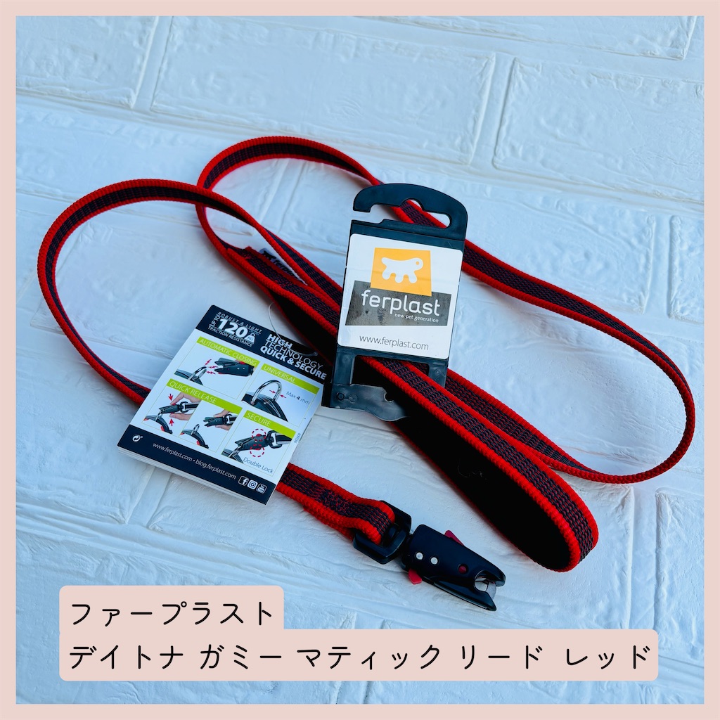 f:id:hachinohige:20260824161633j:image f:id:hachinohige:20260824161633j:image