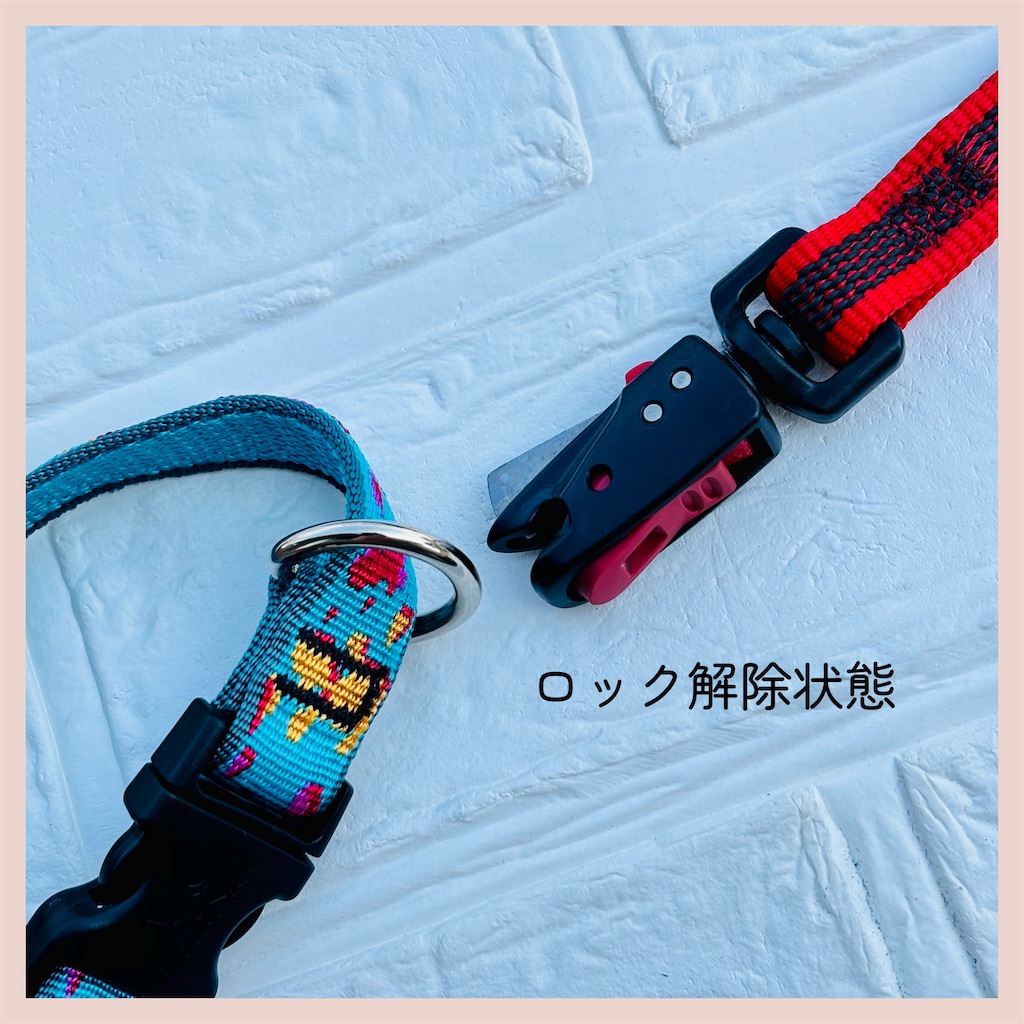 f:id:hachinohige:20260824161731j:image f:id:hachinohige:20260824161731j:image