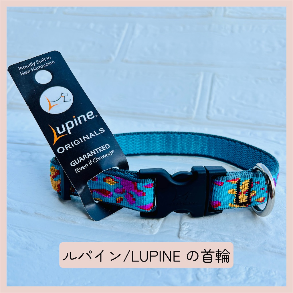 f:id:hachinohige:20260824161752j:image f:id:hachinohige:20260824161752j:image