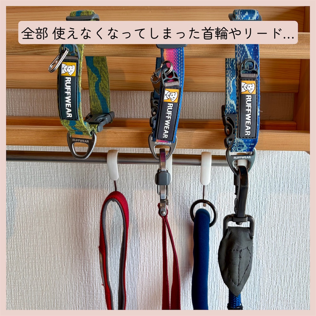 f:id:hachinohige:20260824161822j:image f:id:hachinohige:20260824161822j:image