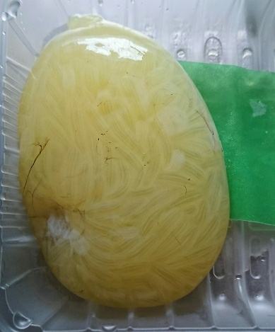 f:id:hachinosubunbun:20200327142735j:plain