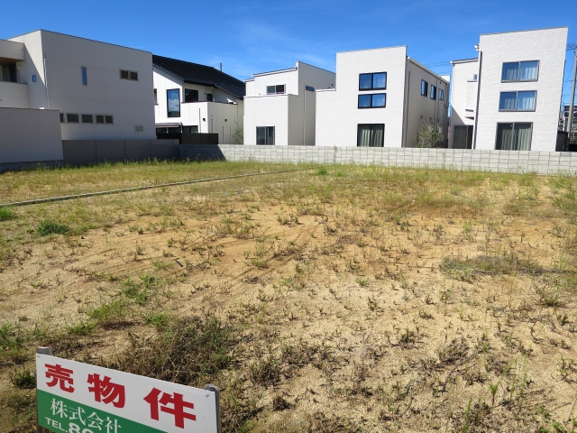 f:id:hachiroublog:20190120212659j:plain f:id:hachiroublog:20190120212659j:plain