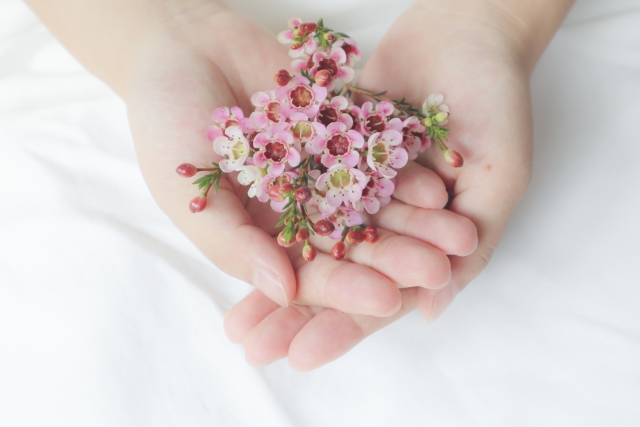 f:id:hachiroublog:20190223164532j:plain
