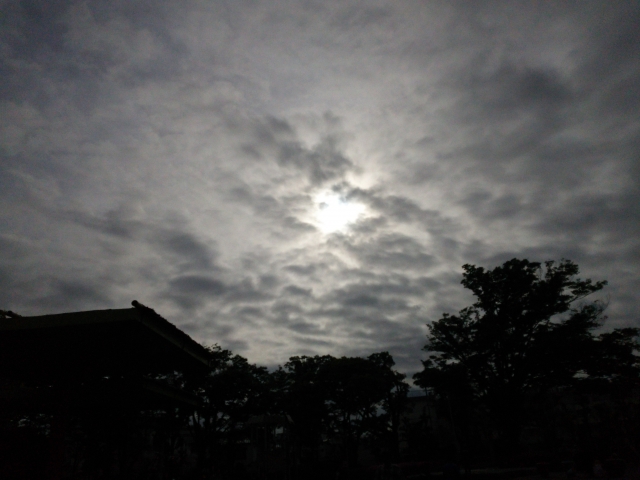 f:id:hachiroublog:20190226215509j:plain f:id:hachiroublog:20190226215509j:plain