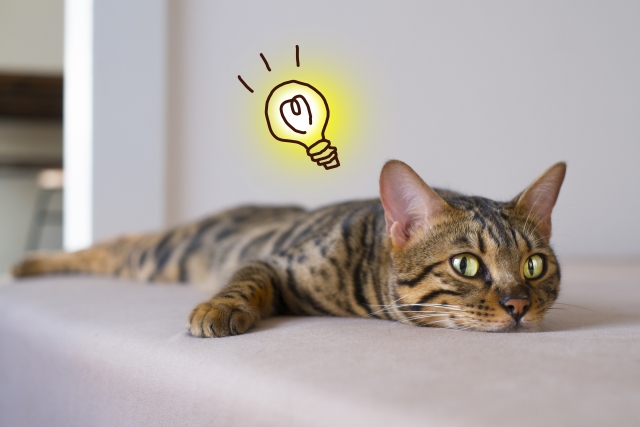 f:id:hachiroublog:20190309015046j:plain f:id:hachiroublog:20190309015046j:plain