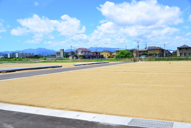 f:id:hachiroublog:20190309015157j:plain f:id:hachiroublog:20190309015157j:plain