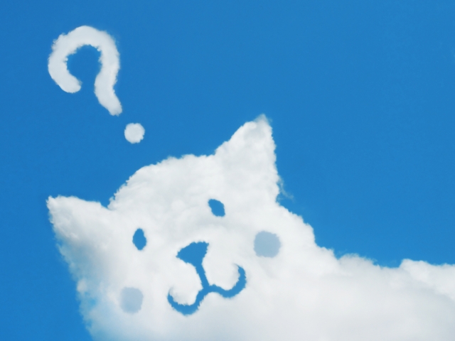 f:id:hachiroublog:20190310153405j:plain f:id:hachiroublog:20190310153405j:plain