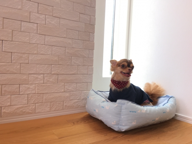 f:id:hachiroublog:20190316205044j:plain f:id:hachiroublog:20190316205044j:plain