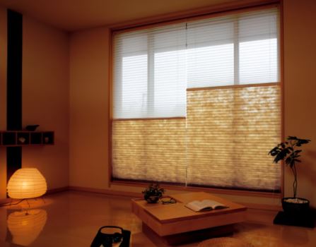 f:id:hachiroublog:20190324221732j:plain