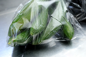 胡瓜6本100円
