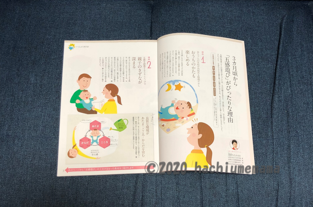 育児情報誌:特集ページ f:id:hachiumemama:20200216101727p:plain