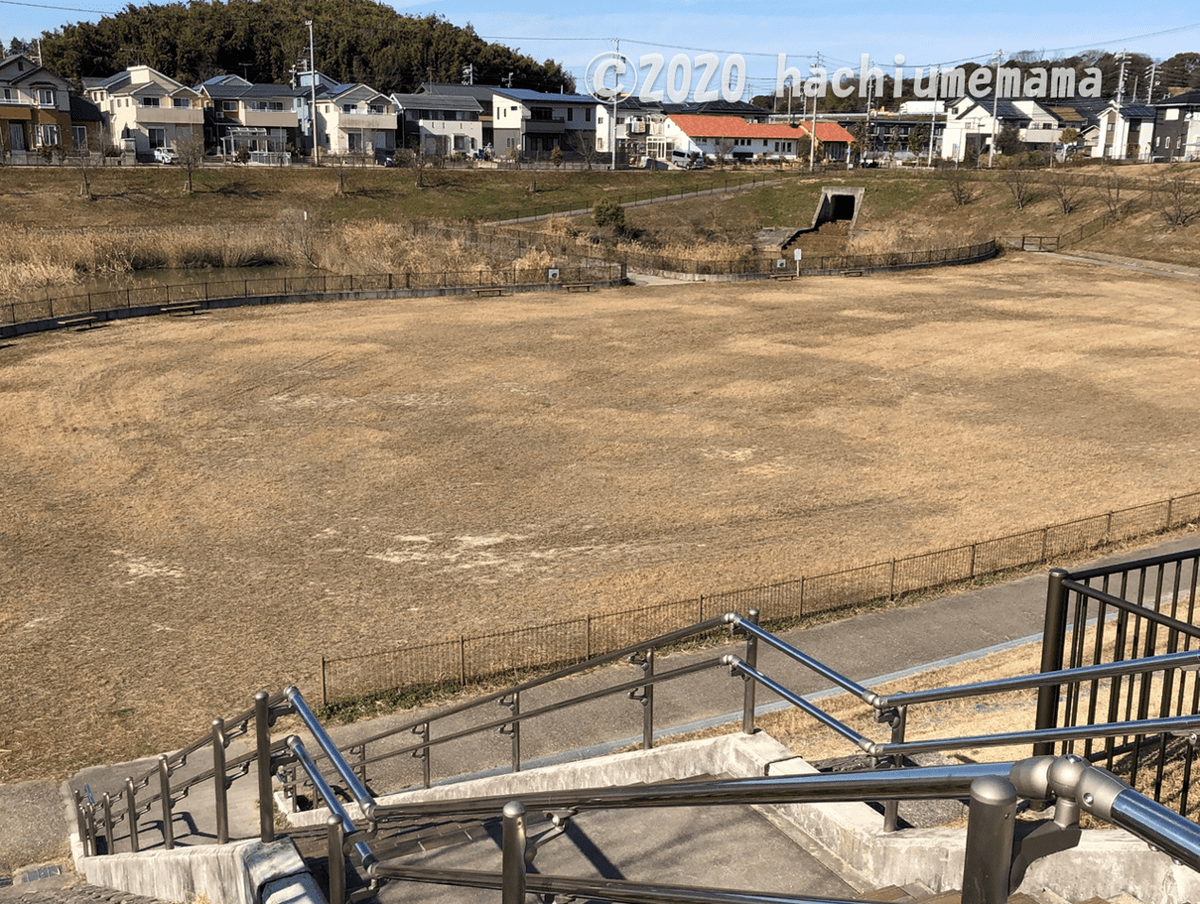 ボール遊び可能な多目的広場|北条公園 f:id:hachiumemama:20200223080213p:plain
