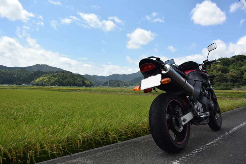 f:id:hachiwarekei:20180903224153j:plain f:id:hachiwarekei:20180903224153j:plain