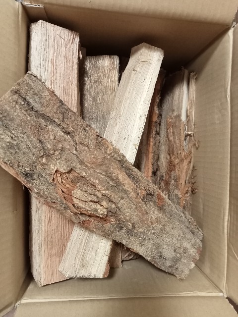 f:id:hachyn61:20210827103154j:image f:id:hachyn61:20210827103154j:image