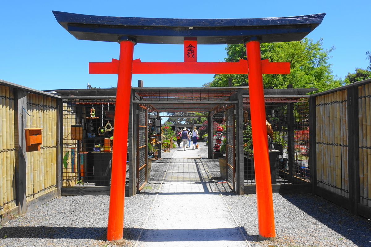 f:id:hacklecootie:20200216110552j:plain